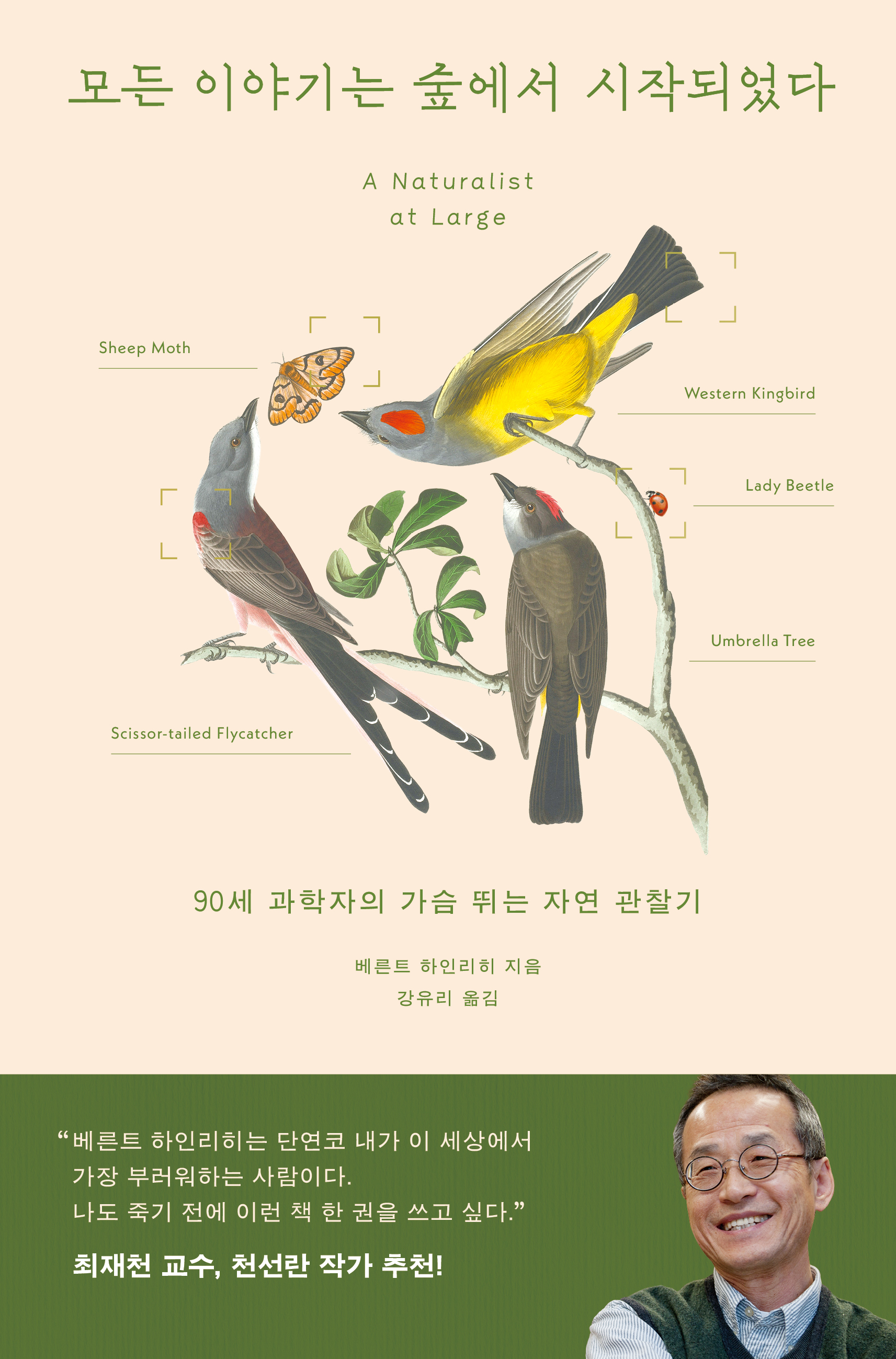 모든 이야기는 숲에서 시작되었다